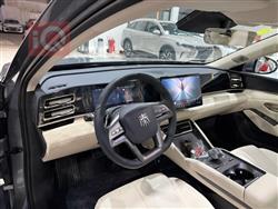 بي واي دي كوين L DM-i